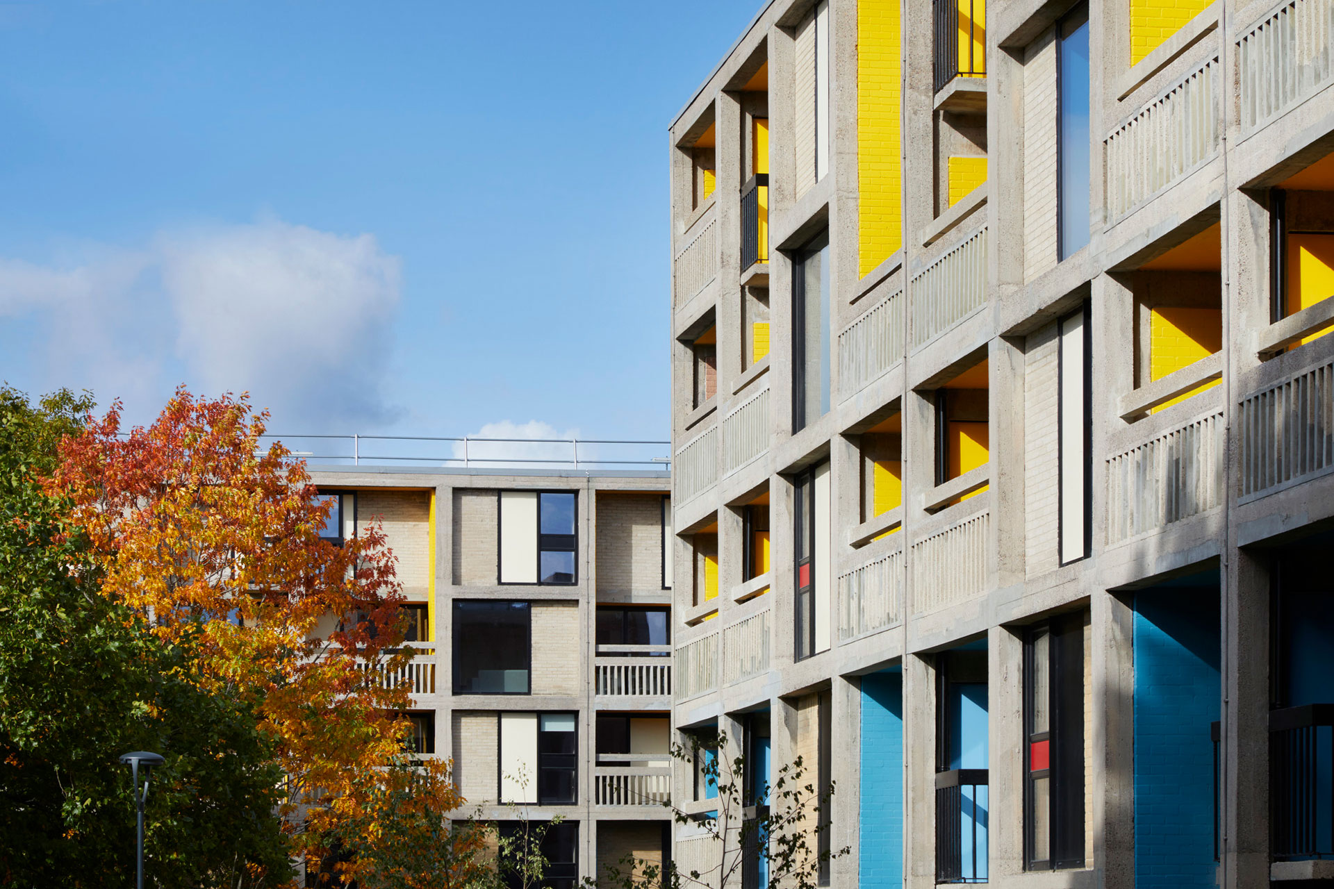 ボトムス House on the hill ballet 80 house on the hill Pants (Ballet) 80 Pants (Ballet) house on the